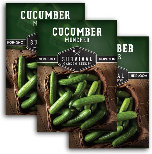 Miniatura 12 de Semillas de pepino Muncher para plantar Variedad sin eructos con piel suave para bocadillos o rebanadas – Semillas de jardín de supervivencia