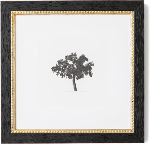 Arte de Pared de Árbol Petal Lane - Decoración Antigua Enmarcada - Crea Tu Propio Set de Marcos para Galería de Pared - Decoración de Pared Dark
