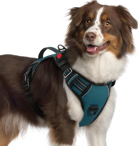 Miniatura 23 de rabbitgoo Arnés para perro de tamaño pequeño, arnés para mascotas sin tirones con mango acolchado suave, chaleco reflectante ajustable con 3