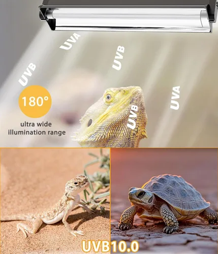 Miniatura 2 de T5 UVB - Kit combinado de lámpara para reptiles – Campana de terrario de 12 pulgadas, 8 W, bombilla UVA UVB 10.0 con reflector de alta eficiencia