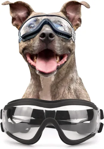 Miniatura 10 de Gafas de sol para perros de razas grandes, juego de 2 piezas de protección UV negra y transparente, resistente al viento para perros medianos a