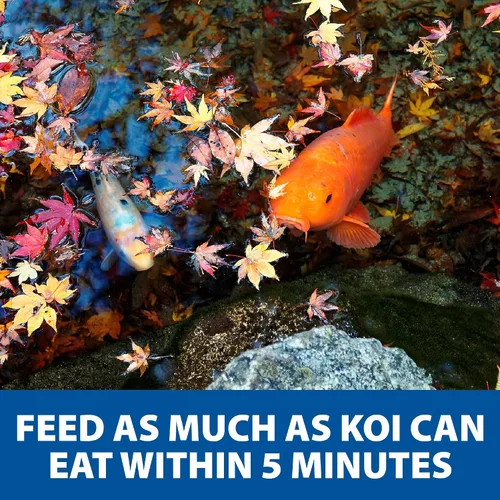 Miniatura 9 de The Pond Guy Spring & Fall - Alimento para peces con germen de trigo para Koi y Goldfish, pellets flotantes prémium para clima frío, fórmula