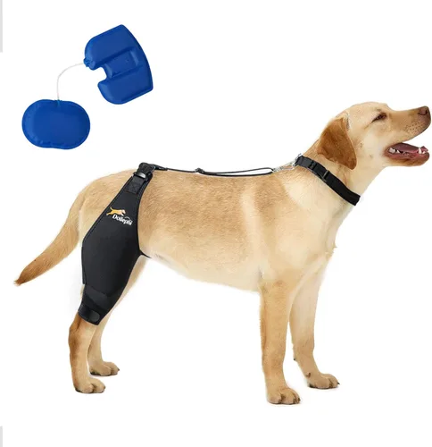 Rodillera para perro para desgarro del ligamento cruzado anterior, diseño de bolsa de aire para aliviar el dolor en las articulaciones, lesiones de