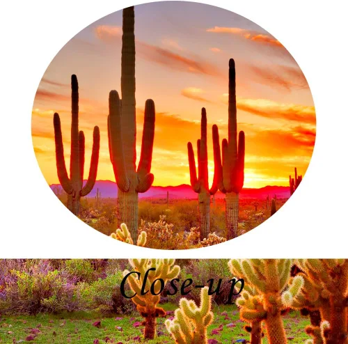 Miniatura 5 de KREATIVE ARTS - Pinturas de paisajes naturales, arte de pared, puesta de sol con saguaros en el desierto de Sonora, 5 piezas impresas en lienzo