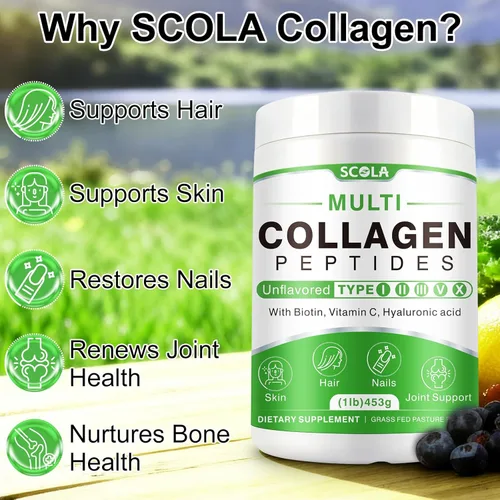 Miniatura 2 de SCOLA Péptidos de colágeno en polvo - Tipo I, II, III, V, X - Péptidos de colágeno hidrolizados con vitamina C ácido hialurónico, apoya la piel