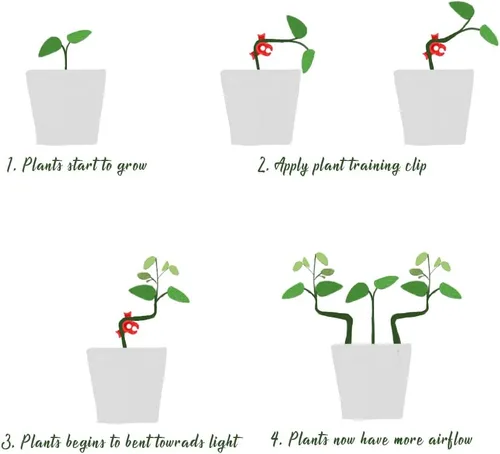 Miniatura 7 de LucyPhy Paquete de 30 dobladores de plantas con ángulos ajustables, clips de entrenamiento de plantas para entrenamiento de bajo estrés, 90 grados