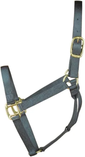 Miniatura 10 de Hamilton Quality Horse Halter, nailon de triple capa de 1 pulgada, anilla o burro estándar, 300-500 libras, rojo Rojo (Red Brick)