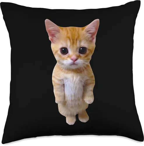 Miniatura 5 de El Gato Meme Sad Crying Cat Munchkin Kitty Meme Almohada moderna, 16 x 16 pulgadas, multicolor