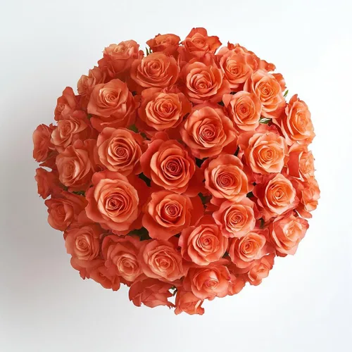 Miniatura 18 de GlobalRose Ramo de 100 Rosas Melocotón - Rosas de Origen Responsable Flores Frescas - Ramo Fresco de Flores Seleccionadas a Mano para Graduación