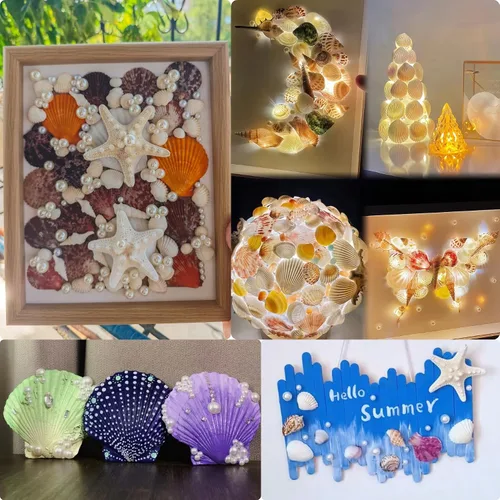 Miniatura 7 de JSPYFITS Estrellas de mar grandes de 2.5 a 4 pulgadas y conchas de vieira para manualidades, 12 unidades, conchas naturales de mar de playa