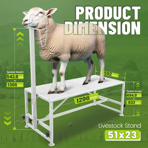 Miniatura 2 de Kojem Soporte para ganado de ovejas de 51 x 23 pulgadas, soporte de ordeño de cabra, soporte de recorte para ovejas y corderos, altura ajustable