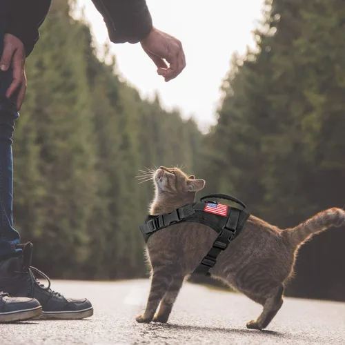 Miniatura 4 de Arnés táctico para perro, chaleco de entrenamiento al aire libre, chaleco militar K9 de patrulla para perro, arnés táctico ajustable para cachorros