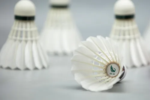 Miniatura 3 de DS-40 Premium Goose Feather Badminton Shuttlecock Multi-Pack