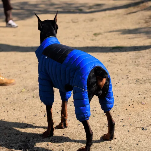 Miniatura 8 de Lovelonglong Abrigo para perro, chaqueta cálida para perro, 4 patas cubiertas, impermeable, resistente al viento, reflectante, chaleco cálido