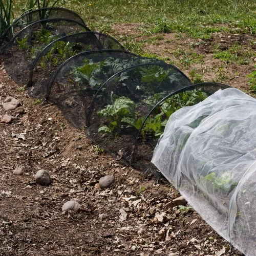 Miniatura 4 de Zonon - Mosquitera para insectos, malla protectora contra pájaros, mosca, escondite de caza, malla de protección para plantas de jardín, Negro