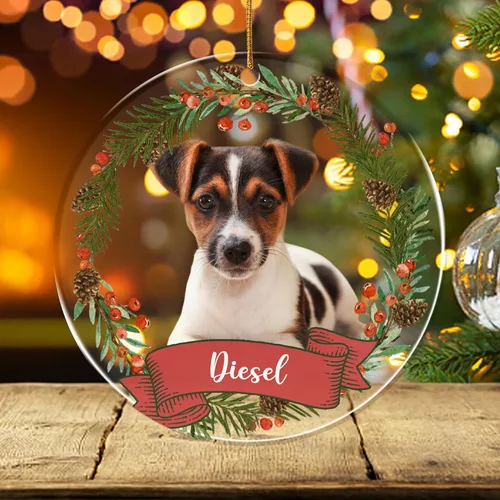 Miniatura 23 de FLOCHIL Adornos de Navidad Personalizados para Gatos Adornos de Navidad Personalizados con Foto y Nombre para Árboles de Navidad, Adornos de Navidad