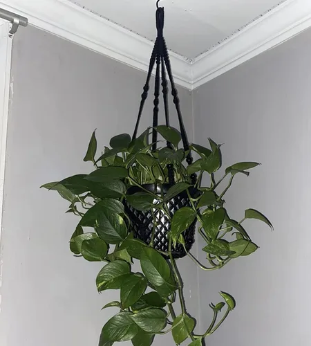 Miniatura 6 de Colgador de Macramé de 43 Pulgadas Grande para Maceta de 12 Pulgadas + Gancho Colgante (Extra Largo y Grande) Maceta Colgante Grande para Plantas