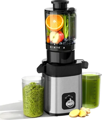 Máquina exprimidora lenta de prensa en frío, exprimidor compacto de masticación lenta para verduras y frutas, canal de alimentación de 4.4 pulgadas
