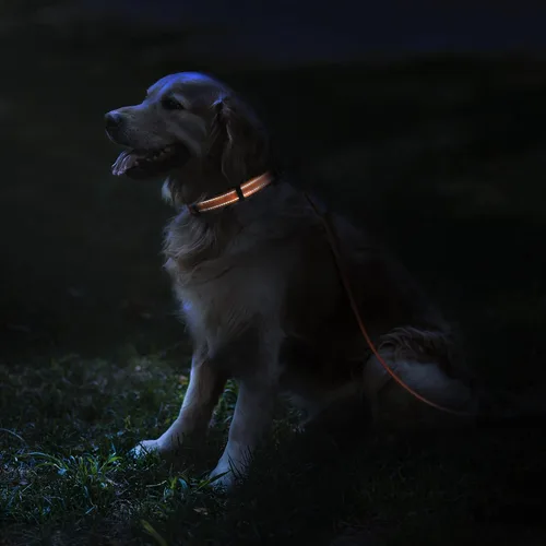 Miniatura 3 de CollarDirect Collar reflectante para perro o cachorro pequeño, mediano y grande con hebilla de liberación rápida, para niños y niñas, nailon Verde