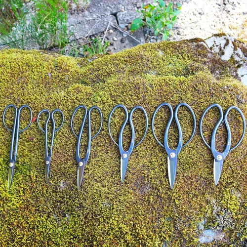 Miniatura 4 de KAKURI Tijeras para bonsái fabricadas en Japón de 7 pulgadas, hoja japonesa de acero al carbono, tijeras tradicionales para podar y recortar