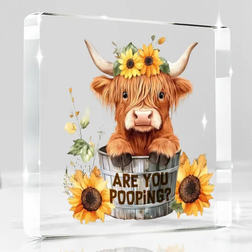 Miniatura 8 de Highland Cow Gifts - Letrero acrílico con texto en inglés "You are Brave Kind Loved Enough Positive Inspirador Highland Cow Regalos para Amigos