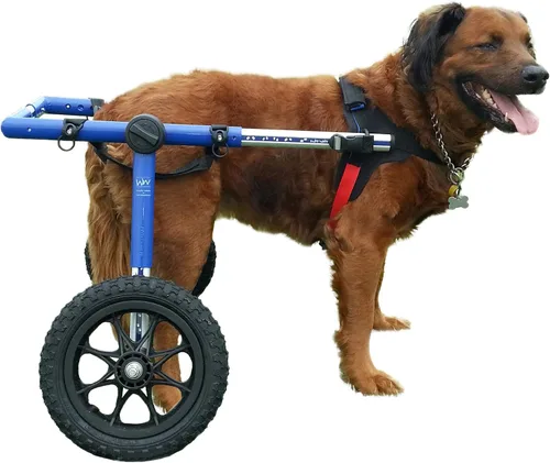 Silla de ruedas para perros, para perros grandes, de 70 a 180 libras, aprobada por veterinarios, silla de ruedas para perros para patas traseras Azul