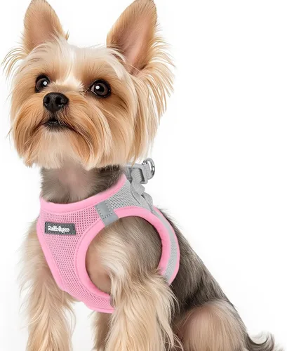 Miniatura 48 de rabbitgoo Arnés para perro pequeño, chaleco de malla suave para cachorros con hebilla de seguridad, arnés reflectante transpirable para mascotas