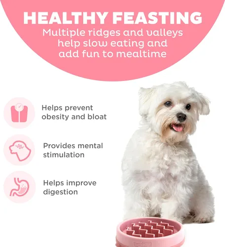 Miniatura 2 de Outward Hound Comedero Pequeño Divertido de Alimentación Lenta, Rompecabezas para Comedores Rápidos, Cachorros, Gatos y Perros Pequeños, Comida Rosa