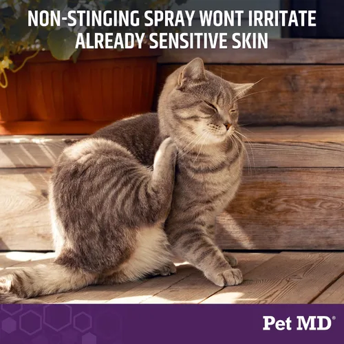 Miniatura 4 de Pet MD Cuidado Derm Care todo en uno – Spray de ácido hipocloroso para perros y todas las mascotas – Chupete de piel para perros y heridas