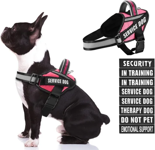 Miniatura 34 de in Training Service - Juego de arnés y parches para perro, con 10 parches para perros, chaleco reflectante con asa para perros pequeños, medianos