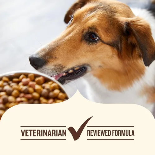 Miniatura 7 de Nutrish - Comida seca para perros con ingredientes limitados, receta de carne de cordero y arroz integral, bolsa de 14 lb, el embalaje puede variar
