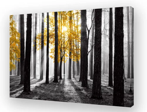 Miniatura 11 de Cao Gen Decor Art S06675 - Lienzo decorativo para pared, diseño de árbol rojo en blanco y negro, sol bosque brumoso, imagen póster impresión