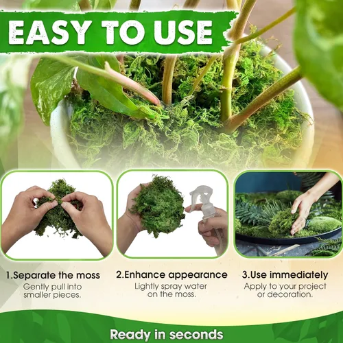 Miniatura 6 de DUSPRO Musgo Verde Mejorado para Manualidades, Musgo Real de Bosque en Plantas en Maceta, Musgos Decorativos para Centros de Mesa de Boda, Navidad