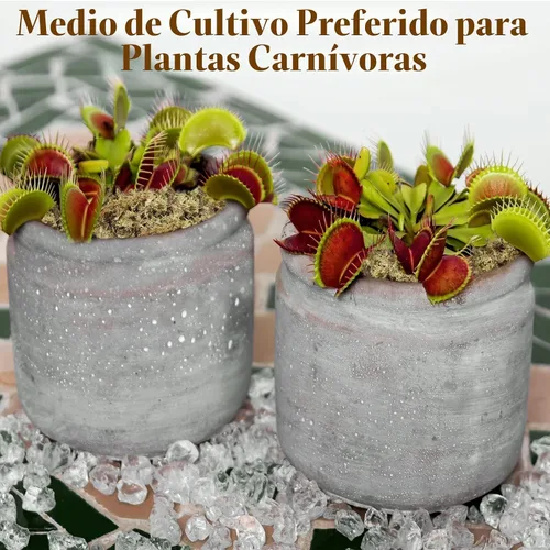 Miniatura 7 de Halatool Musgo esfagnum prémium de 3.6 onzas para plantas de interior, mezcla para macetas de musgo de orquídea de 4 cuartos de galón, musgo