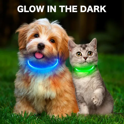 Miniatura 7 de BSEEN Collar LED para Perro - Collar LED para Perro Recargable Resistente al Agua - Collar LED para Mascotas de TPU Cortável para Perros Pequeños