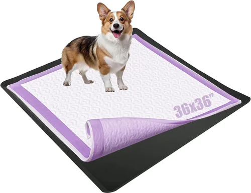 TidyFriend Bandeja Soporte para Almohadillas de Perro para Almohadillas de Entrenamiento de 36 x 36 Pulgadas - Soporte de Silicona Wee Wee, Bandeja