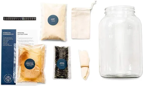 Kit de iniciación – Incluye SCOBY orgánico, líquido de inicio, frasco de vidrio de 1 galón, medidor de temperatura, té y azúcar