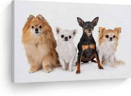 Miniatura 9 de Diseño de arte de la sonrisa Retrato de lindo Yorkie Yorkshire Terrier perro animal lienzo de pared impresión arte del dueño de mascotas amante
