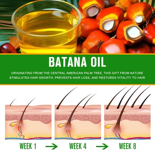 Miniatura 5 de Aceite de batana crudo para el crecimiento del cabello, aceite de batana 100% puro de Honduras, nutre el cabello seco y dañado, elimina las puntas