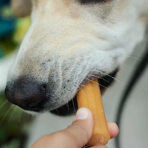 Miniatura 5 de yaky CHURRO Golosinas de queso del Himalaya Sin lactosa - Sin gluten - Sin granos Hecho en Estados Unidos para todas las razas Churro de 1 x