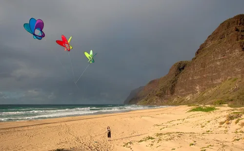 Miniatura 3 de Prisma EO Atom Box Kite Spectrum