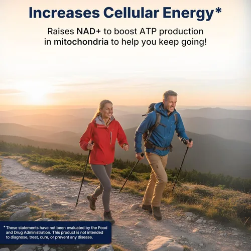Miniatura 4 de NMN Supplement 1000 mg Mononucleótido de nicotinamida pura – Precursor de NAD para energía, renovación celular y soporte de longevidad – Soporte