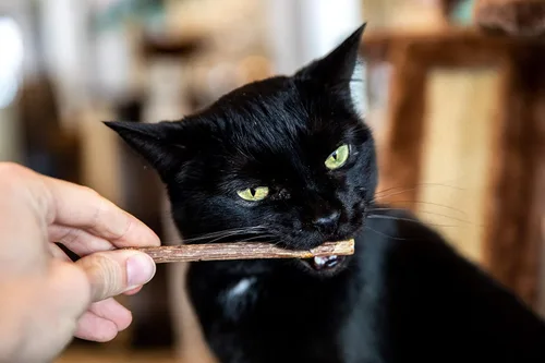 Miniatura 6 de Meowy Janes Matatabi - Palitos masticables – Un juguete natural para gatos y golosinas para gatos – Alternativa de hierba gatera