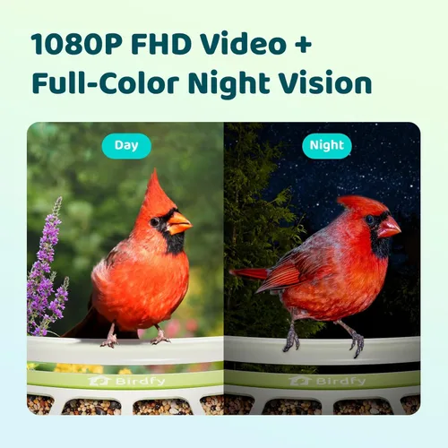 Miniatura 3 de Birdfy Comedero inteligente para pájaros con cámara, alimentador de pájaros de metal duradero para exteriores, detección automática y grabación