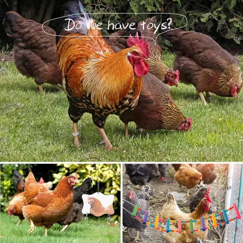 Miniatura 6 de Juguetes de pollo para gallinero, juego de 12 piezas, juguetes de enriquecimiento de pollo, incluye xilófono, juego de columpio, juguete de espejo