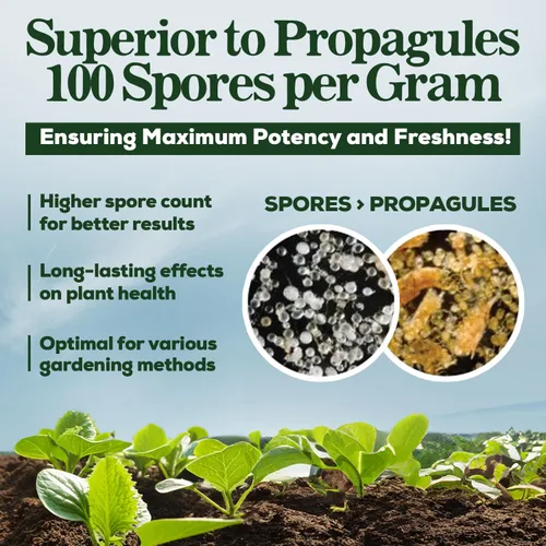 Miniatura 5 de Potenciador de raíces de hongos micorrízicos orgánicos para plantas, súper potente 100 esporas por gramo, mezcla de 5 cepas, resultados rápidos