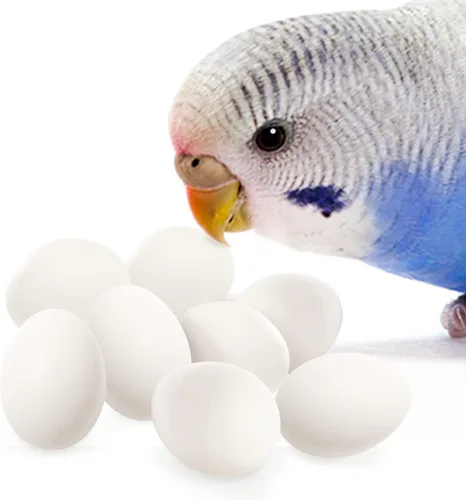 SunGrow Huevos de madera falsos para entrenar a los pájaros de que no se pongan en las cajas de anidación y para dejar de comer sus propios huevos,