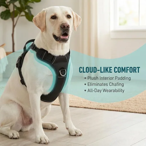 Miniatura 2 de Arnés sin tirones para perro, con 2 clips para correa, chaleco Oxford reflectante ajustable para mascotas con asa de fácil control para perros Negro