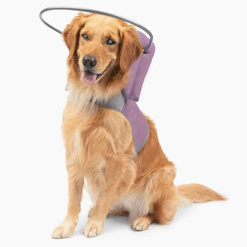 Miniatura 11 de Muffin's Halo® - El halo original para perro ciego Arnés y collar de parachoques accesorio para una navegación segura y confianza - Negro, talla 1