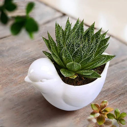Miniatura 3 de GeLive Maceta de Cerámica para Suculentas de Pájaro Blanco, Maceta para Plantas de Animales, Florero, Caja de Alféizar de Ventana para Bonsái